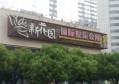 杭州求职新选择：收纳师职业前景广