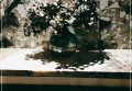 杭州铲车行业求职交流找工作群