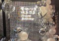 日照求职新机遇，杭州旅游乐畅行